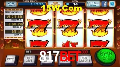 817Bet - User Statistics